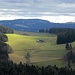 Der Schwarzwald. Viel Wald und große Weideflächen mit den typischen Schwarzwaldhöfen prägen die Landschaft. Vieh steht auch noch auf der Weide und wird besonnt.
