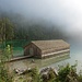 Nebel und Licht am Obersee