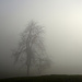 Einsame Gestalt im Nebel