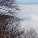 Ausblick von der Rohrerplatte mit viel Nebelmeer und ein bisschen Alpen.