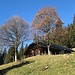 prächtiges Ensemble auf Husallmi