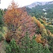 Ostseite des Roßkopfes