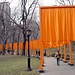 The Gates , ohne Schnee