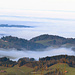 Nebelschwaden zwischen dem hügeligen Appenzellerland