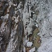 Tiefblick in die Hintere Klamm.