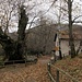 Alpe di Brusino e il suo bel crotto (in chiusura stagionale).