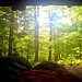 Erwachen in den Adirondacks. Blick aus Schlafsack und Lean-to.