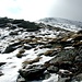 Scendo fino al Lago Scuro, lo aggiro e seguo la cresta N del Pizzo Taneda, percorribile senza difficoltà, nonostante la presenza di neve. 