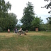 Picknick und Badewiese in Triboltingen