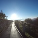 <b>È una giornata radiosa e mite per la stagione: non posso perdere l’occasione per passare due o tre ore all’aria aperta sui sentieri del Parco della Collina del Penz, l’altura più a sud della Svizzera, nel comune di Chiasso.</b>
