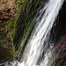 Wasserfall im Sagenraintobel