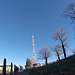 <b>Il traliccio di Monte Morello con antenne e ripetitori per la diffusione di programmi radiotelevisivi. </b>