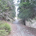 Sentiero per il Col de Joux