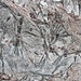 <b>Orneblenda</b>. <br />È un anfibolo largamente diffuso nelle rocce sotto forma di cristalli allungati, di colore nero o verde assai scuro, spesso riuniti in gruppi raggiati. Nel Canton Ticino è molto diffusa anche al Passo del Corno, nell'alta Val Bedretto.