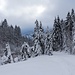 Unterwegs nach Siebenhütten: perfekter Winter!
