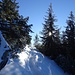 Der direkte Aufstieg vom Gipsbruch über Eckenhütte ist eigentlich immer mit einer Pfadspur belegt und geht deshalb quasi bei allen Verhältnissen ohne Ski und Schneeschuhe