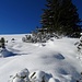 Der ostseitige Abstieg erfolgt in einer völligen Kitsch-Winterlandschaft