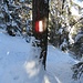 Bestens markiert, auch bei hoher Schneelage gut zu sehen (die Markierungen an den Bäumen liegen mindestens 1,5 m oberhalb des Bodens) geht es durch den Bergwald flott bergab.