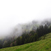 Vor der Hirschalm