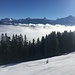 Oberland skyline : Wetterhorn, Finsteraarhorn, Schreckhorn, Eiger, Mönch...