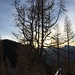 Luce mattutina all'Alpe Arami