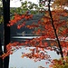 Herbst am Silver Mine Lake