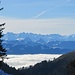 Schöne Aussicht auf das Nebelmeer über dem ZH-See bis hin zum Finsteraarhorn