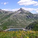 Fioritua sul Lago di Lucendro
