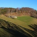 Sicht östich vom Bauernhof Humbel aufs Humbelbergli (1000m).