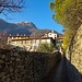 Volesio
