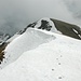 Veduta dalla vetta del Monte Tabòr con impronte di ungulato.