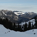 An der Alp Grimmi. 