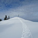 letzte Meter zum Schönkahler, hier war schon ein Schneeschuhgänger da, der aber aus dem Engetal über die Pfrontner Alpe hochkam