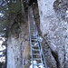 Abstieg via Leiter Richtung Halsegg