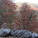 Herbst im Kaiserbachtal.