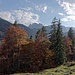 Herbstlicher Zahmer Kaiser