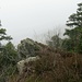 Der Feldberg und der Hinterwaldkopf wären normalerweise zu sehen und der Talgrund, wie von [u Mo6451] auf dem Foto [http://www.hikr.org/gallery/photo2364458.html?post_id=120567 hier] festgehalten