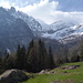 Alpje 1650m. Blick auf Wammischhörner