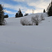 Rückblick bei der Abfahrt mit den Skis nach Fideris, bei diesem diffusen Licht heisst es aufpassen, es gab nur vereinzelte, wegweisende mit Schnee bedeckte Spuren.