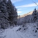 ...geht es nun durch tief verschneiten Winterwald...