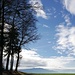 Lisière de forêt
