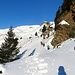 Sentiero Brusada - Alpe Cavallo, finalmente neve bella