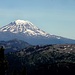 Mount Adams - vom Bear Creek Mountain gesehen