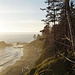 Westcoast - Olympic National Park