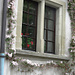 Fenêtre fleurie à Fribourg