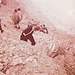 eine geführte Gruppe schleicht vorsichtigt durch das etwas heikle Gelände unterhalb des Gipfels hinunter
