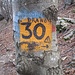 zurück auf der Forcola und nun zumindest ein Stück weiter auf Route 30, ...