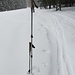 Schneemessaktion - es liegen ca. 70 cm von der weißen Pracht