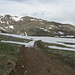 vista sulla cresta che conduce alla cima vaccaro dalla Forcella: neve,ancora a queste quote