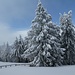 ... der winterlich-schönen Landschaft ...